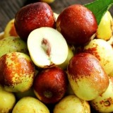 weee_Winter Jujube