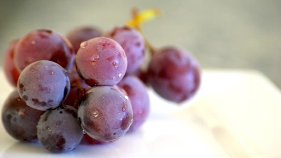 葡萄様 甘さ引き立つ黒系ぶどう〝高墨”登場！ - 株式会社ファームタケヤマ